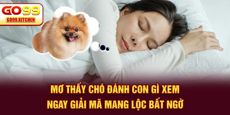 Mơ Thấy Chó Đánh Con Gì - Xem Ngay Giải Mã Mang Lộc Bất Ngờ